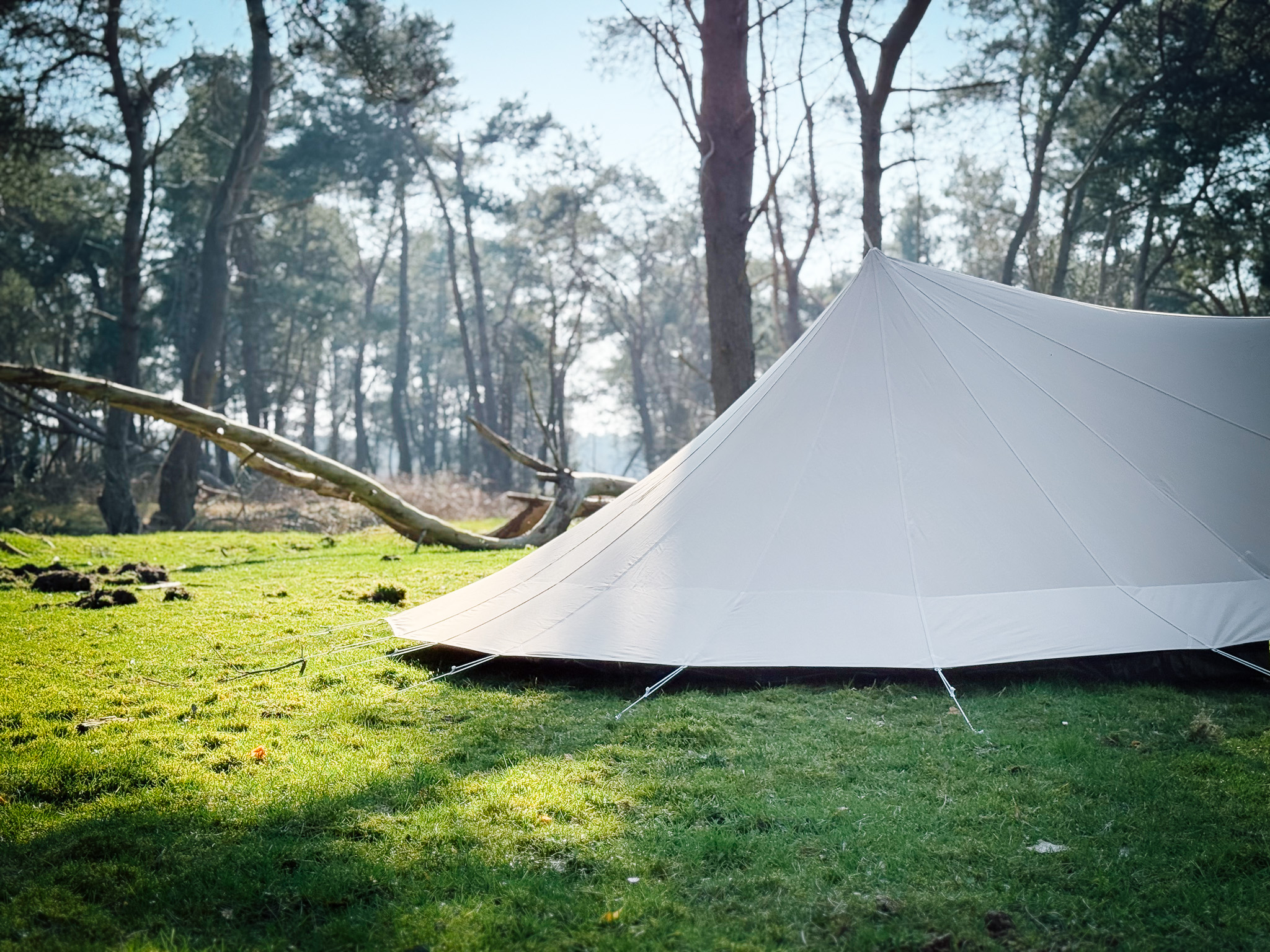 De-Waard-Tenten-Koningstern-2